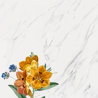 Gray marble floral frame vector