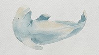Watercolor painted beluga whale on white canvas template