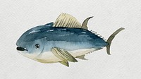 Watercolor painted tuna on white canvas vector