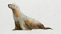 Watercolor painted seal on white canvas vector