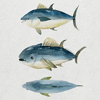 Watercolor painted tuna in watercolor banner vector