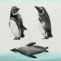 Watercolor painted penguin in watercolor banner vector
