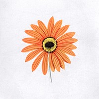 Hand drawn orange flower mockup