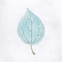 Hand drawn light blue leaf mockup