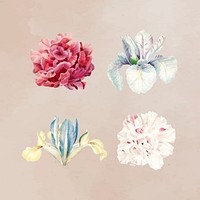 Colorful flower set on a beige background vector