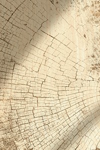 Bleached tree rings textured design background