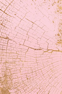 Pink wooden texture design background vector