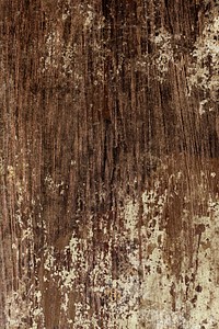 Rustic wooden textured design background vector