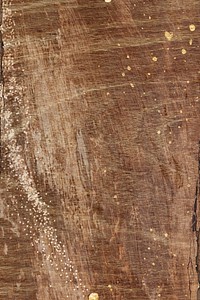 Rustic wooden textured design background
