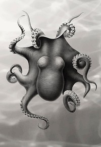 Vintage Octopus vector, remix from original painting by Carl Chun