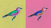 European roller bird vintage illustration set, remix from original artwork.