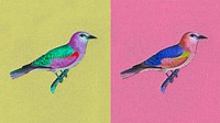 European roller bird vintage illustration vector, remix from original artwork.