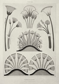 Egyptian plants and flowers monotone vintage wall art print poster design remix from original artwork.