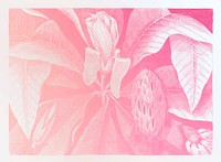 Pink umbrella tree vintage illustration vector, remix from original artwork.
