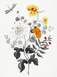 Still Life of flowers vintage illustration, remix from original artwork.
