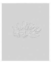 Lotus flowers artwork vintage wall art print and poster design remix from original photography by Ogawa Kazumasa.