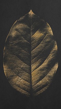 Gold dried leaf texture on black background design resource