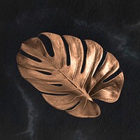 Golden monstera leaf design resource vector