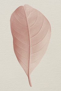 Closeup of pastel leaf design resource