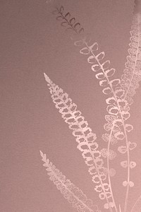 Spleenwort fern frame on a rose gold background 