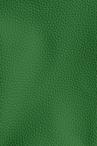 Green leather textured background illustration