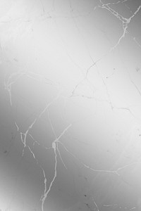 Abstract silver marble background design