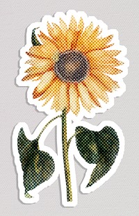Halftone yellow sunflower sticker with white border