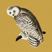 Halftone snowy owl sticker design element