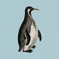 Halftone Patagonian penguin sticker design element