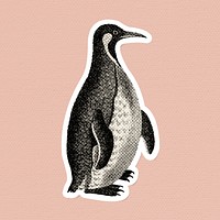 Halftone Patagonian penguin sticker with a white border