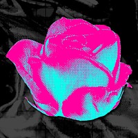Funky neon halftone rose flower sticker overlay with white border