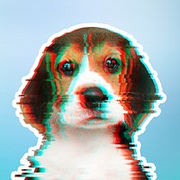 Beagle puppy with glitch effect sticker with white border overlay