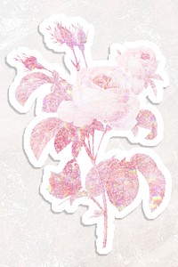 Pink holographic cabbage rose flower sticker with white border