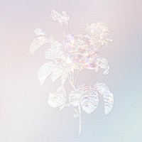 Silver holographic cabbage rose flower design element