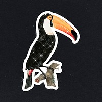 Hand drawn sparkling toco toucan sticker with white border