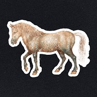 Hand drawn sparkling horse sticker with white border