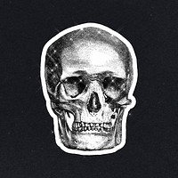 Sparkling skull engraving sticker with white border
