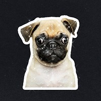 Sparkling pug puppy sticker with white border