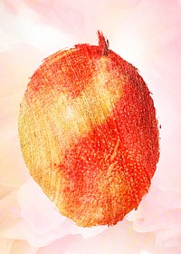 Hand drawn ripe mango fruit design element