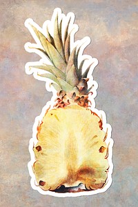 Hand drawn pineapple acrylic style sticker overlay with a white border