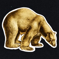 Gold polar bear sticker with a white border