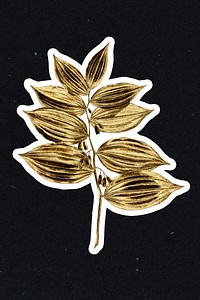 Gold king solomon's seal sticker with a white border