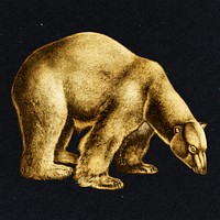 Gold polar bear sticker  design element