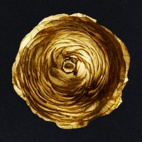 Gold ranunculus flower sticker design element