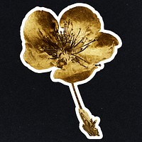 Gold cherry blossom flower sticker with a white border