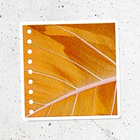 Yellow leaf patterned notepaper with white border
