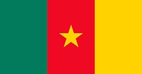 Cameroon flag pattern vector