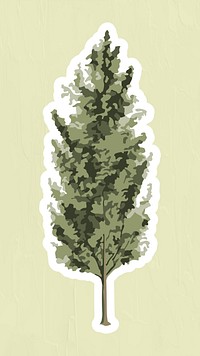 Vectorized spruce tree sticker overlay with a white border on a sage green background