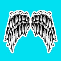 Wings outline sticker overlay with a white border vector