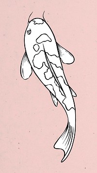Hand drawn koi fish design element